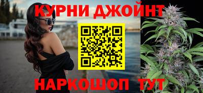 apvp Камень-на-Оби