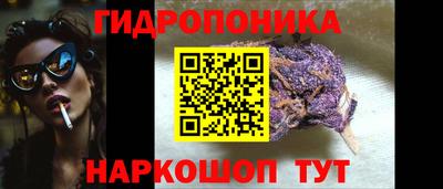 apvp Камень-на-Оби